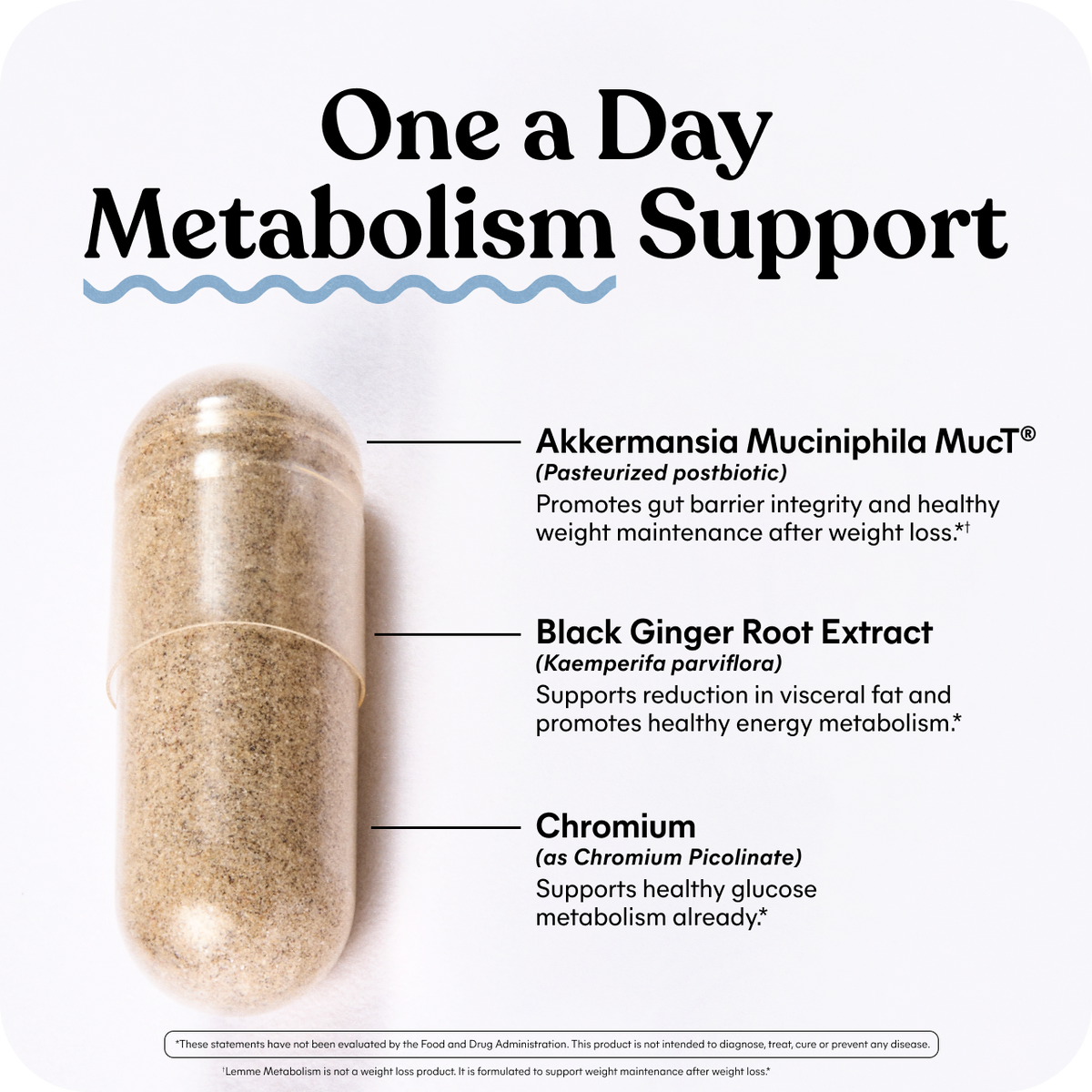 Supplement capsule labeled 'One a Day Metabolism Support' with ingredients listed on a white background.